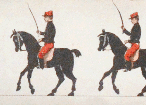 tumblr_muty3oaGDv1r9jbwno1_500