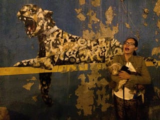 Pets love Banksy, too.