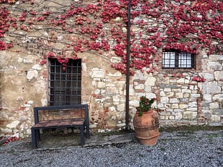 The textures of Castello di Ama