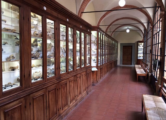 The display cases in the halls of the Accademia dei Fisiocritici have a timeless air.