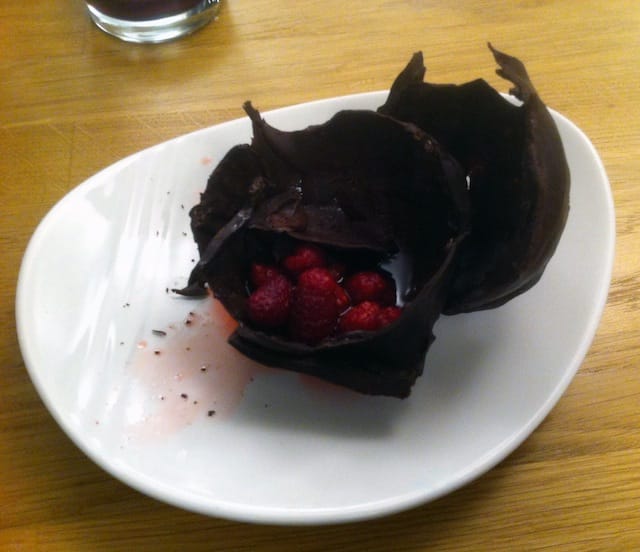 chocolate bird-after