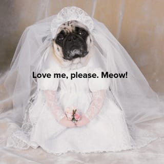 (image via costumeexpress.com)