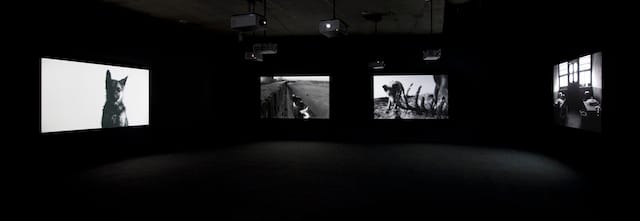 Yang Fudong: Estranged Paradise, Works 1993–2013 INstalltion at the Berkeley Art Museum,2013