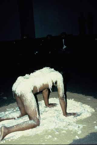 Fleming_Sherman_Pretending to be Rock detail_1993