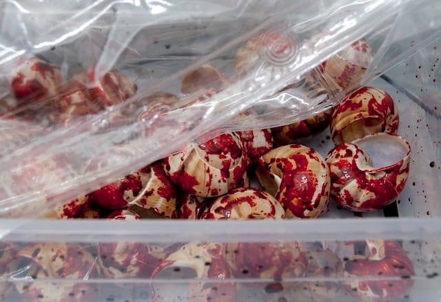 Jason Benson, TK TK. All images courtesy of Queer Thoughts Gallery.