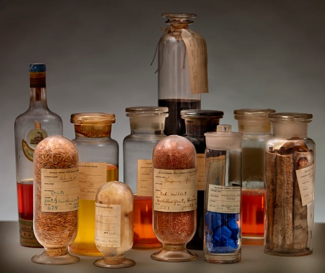 Oils, woods, fibers, and  grains in their original glass containers from the fair (© The Field Museum)