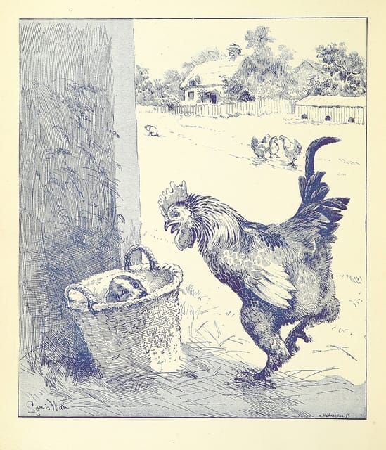 More proof that puppies in baskets are timeless comes from this 1888 monograph, "Our Farm. The troubles and successes thereof. The story told by F. W. P. and illustrated by L. Wain"