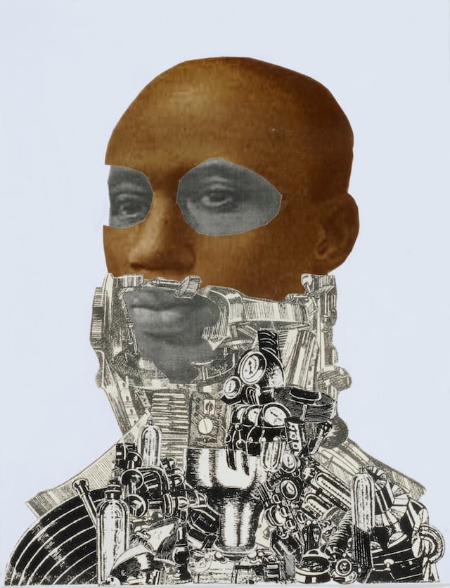 2. Hodge_AndroidNegroid#12