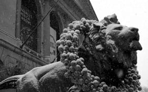 Top 5 Chicago Art Shows of 2013