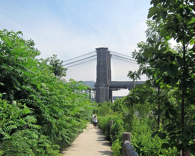 Brooklyn Bridge Park (photograph by the author)
