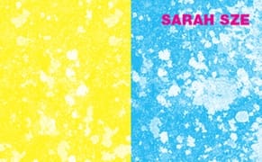 Philadelphia's The Fabric Workshop and Museum Presents New Work by Sarah Sze