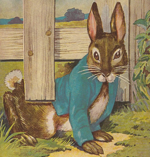Peter Rabbit illustrated for Beatrix Potter's "The Tale of Peter Rabbit" (via mispocky/Flickr user)