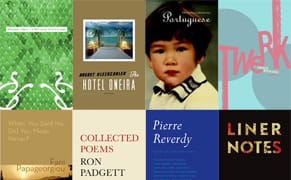 A Baker’s Dozen: Recommendations of Poetry Published in 2013