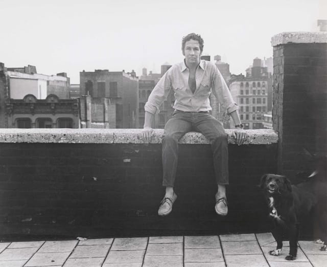 Press-Image-8---Robert-Rauschenberg-640