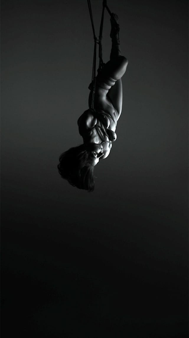 Robert Wilson, Video Portraits of Lady Gaga, Flying, (Making off) (2013)