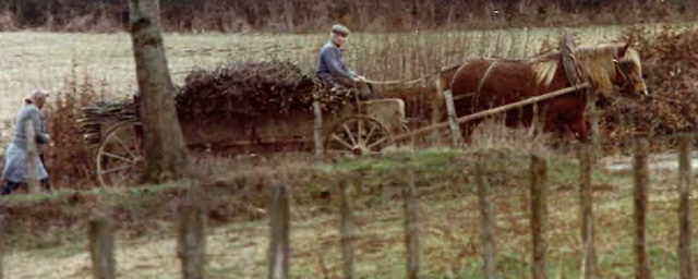 Screen Shot 2013-12-04 at 10.16.02 PM