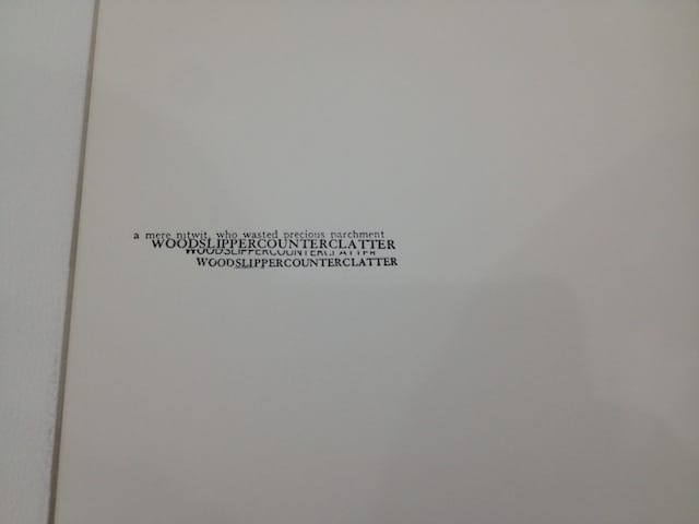 Detail of "Susan Howe: TOM TIT TOT" at the Yale Union (photo by the author for Hyperallergic)