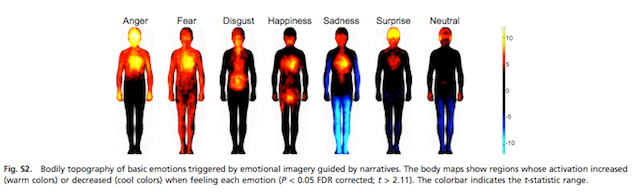 Basic emotions triggered by narrative. Image via PNAS.