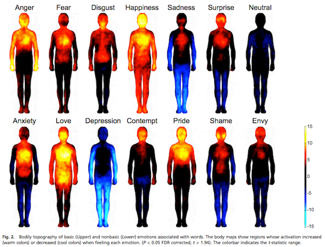 Bodily topography of emotions associated with words via PNAS.org.