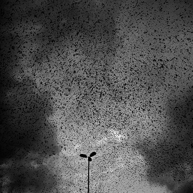 Richard Barnes, "Murmur #13," (2006), 44 x 44 inches, pigment print