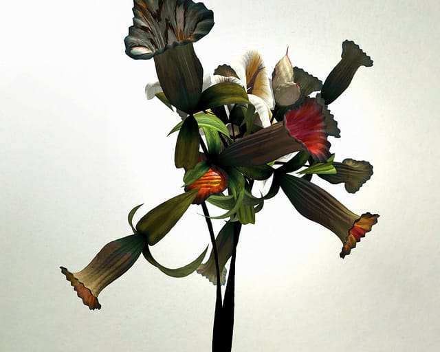 "Darwin" flower by Daniel Brown