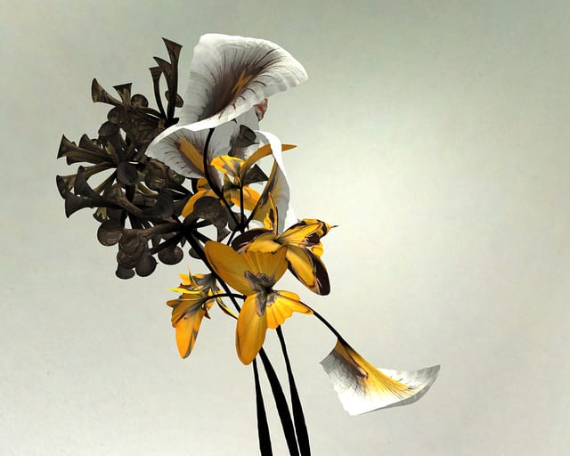 "Darwin" flower by Daniel Brown