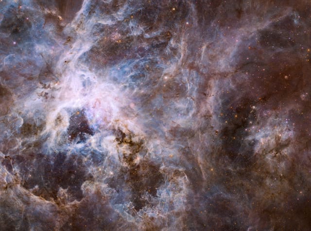 A wide field view of the Tarantula Nebula (courtesy NASA, ESA, and E. Sabbi (STScI) )