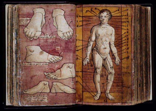 A physicians handbook of practical medicine from Germany (16th century)