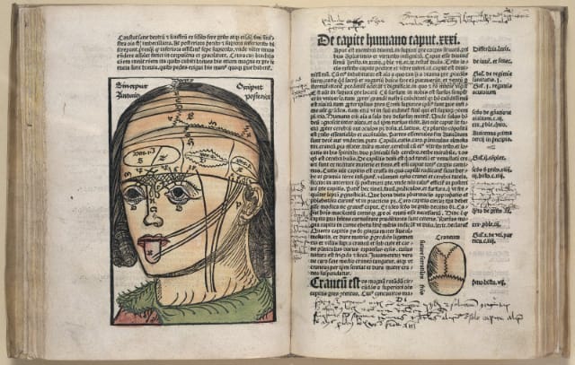 Magnus Hundt, diagram of a human head in a 1501 anthropology book