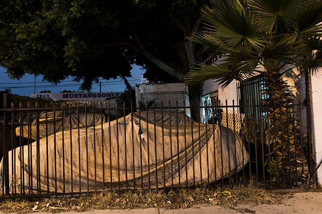 Lynn Saville, "Mustangs, Culver City, CA"