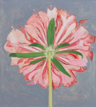 Lois Dodd, "Pink Scabiosa, Back View" (2013), oil on panel, 20 x 18.25 in