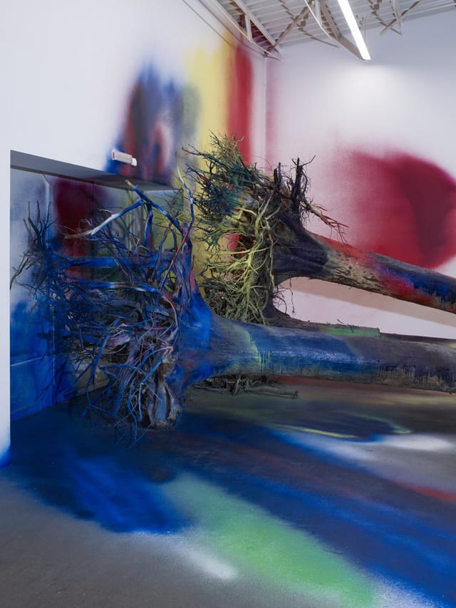 (images courtesy the artist)