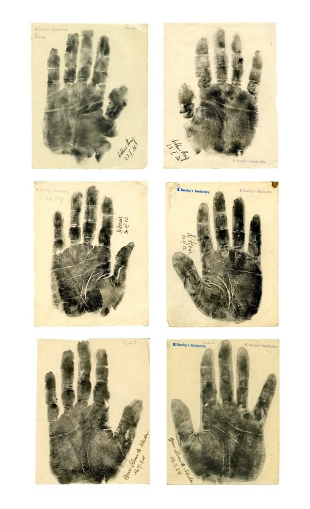 Marianne Raschig Collection of 36 Original Vintage Palm Prints