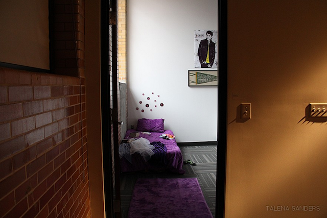 Talena Sanders, "Entrance to Return to Virtue" (2013) Installation Exhibition: Wilford Woodruff, Sr. Collection of Curiosities, March 22 - April 14, 2013, Power Plant Gallery, Durham, NC. All images courtesy of the artist.