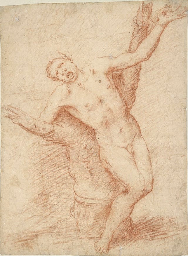  José de Ribera (1591–1652) Marsyas Bound to a Tree, ca. 1630s Red chalk The Morgan Library & Museum, New York; 1976.48 Purchased as the gift of Mr. Frederick R. Koch, 1976 Photography: Graham S. Haber