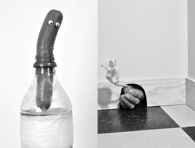 Images from Andrew Guenther’s solo show at Gallery 106 Green. (via 106green.com)