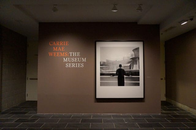 Installation view, "Carrie Mae Weems: The Museum Series," the Studio Museum in Harlem (photo by Jillian Steinhauer for Hyperallergic)
