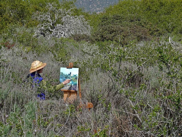 An artist at work. (photo by Mike Baird, via Flickr)