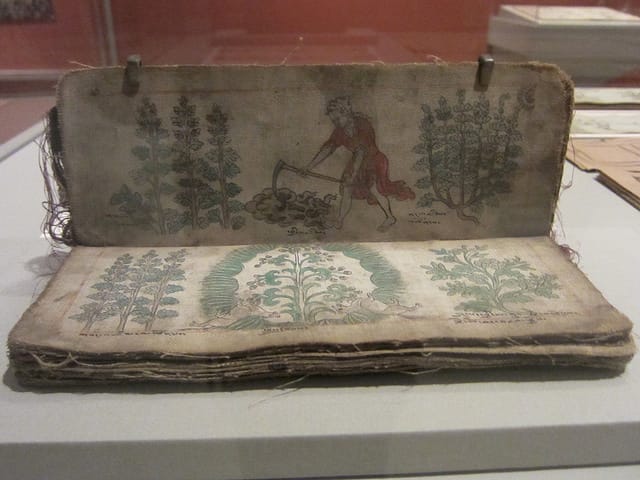 "Illustrated Herbal" (20th century), ink & color on canvas, Tibet (from Men-Tsee-Khang, Tibetan Medical and Astrological Institute of H.H. the Dalai Lama)