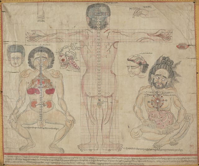 Interconnecting Blood Vessels and Channels; painting 12 of a set of medical paintings Tibet; ca. 17th century Pigments on cloth Pritzker Collection