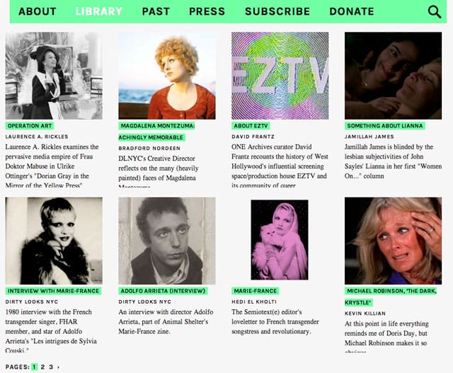 Screenshot of the new Dirty Looks NYC online Library (via dirtylooksnyc.org)