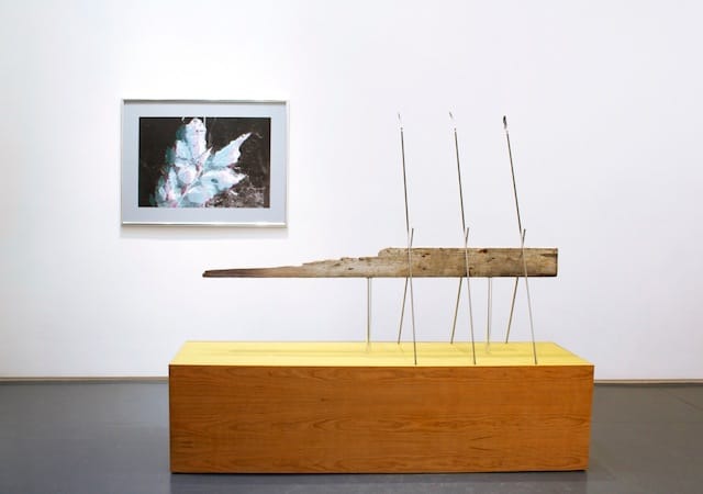 Installation view, 'Ian Pedigo: Cosmopolitan Sleep Positions' at Klaus von Nichtssagend Gallery (courtesy Klaus von Nichtssagend Gallery)