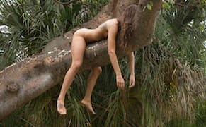 Old and New Takes on the Female Nude