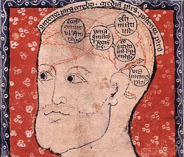 14th century diagram of the brain (via Cambridge University Library)