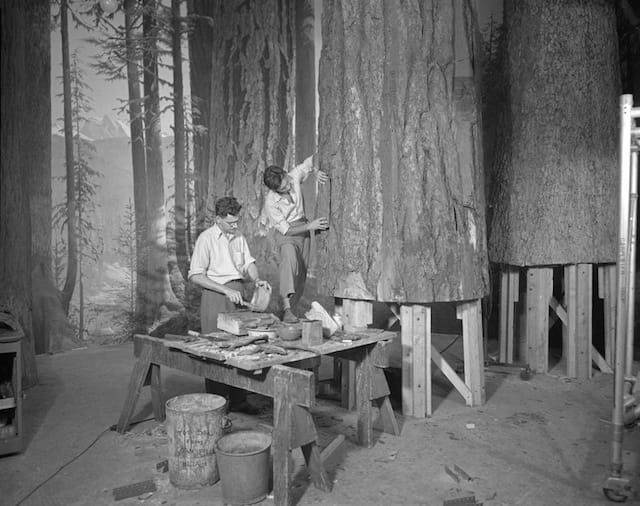 Boltin, Lee and Rota, Alex J., “Preparing Olympic Forest Scene exhibit, Forestry Hall, 1952,”