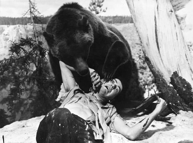 Brownold, “James H. Carmel posing in construction of Grizzly Bear Group, Hall of North American Mammals, 1941,”