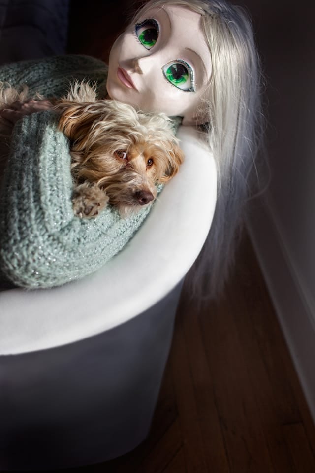 Laurie Simmons, "Blonde / Aqua Sweater / Dog" (2014) 