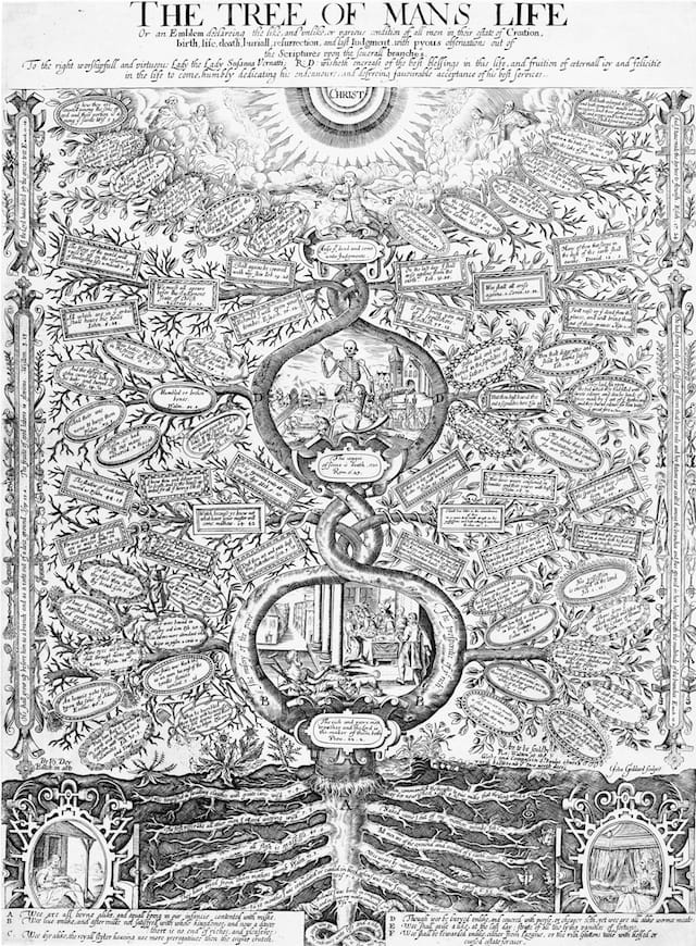 John Goddard, "The Tree of Man's Life" (1639-50), summarizer the events of a man's life