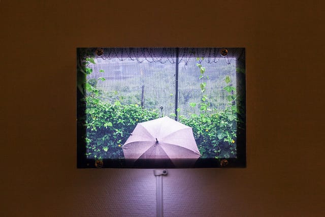 Installation Photo - notice round contact mike attached to fence above umbrella