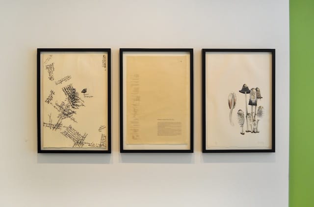 Installation view of the Mushroom Book (Courtesy of The Horticultural Society of New York)